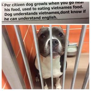 Meet your Posher, Chuong